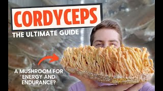 Zombie Fungus or Energy Mushroom The Ultimate Guide To Cordyceps [upl. by Enirolf]