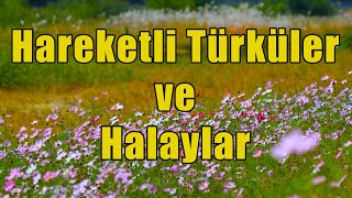 Hareketli Türküler ve Halaylar  Yeni Halaylar KESİNTİSİZ türkü [upl. by Darrell955]