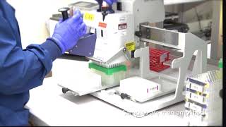 23andMe DNA Processing Lab Video [upl. by Annayt]