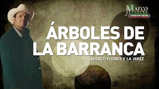 Marco Flores y La Jerez  Árboles de la barranca LETRA [upl. by Unders]