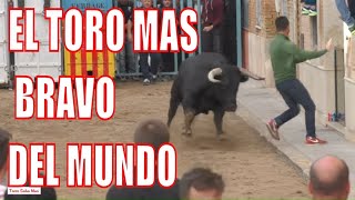 EL TORO MAS BRAVO DEL MUNDO POSIBLEMENTE SOLTADO EN BORBOTO ESPECTACULAR toros tv [upl. by Onder]