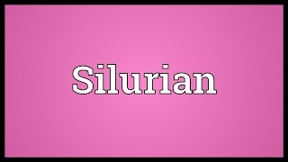 Silurian Meaning [upl. by Yee638]