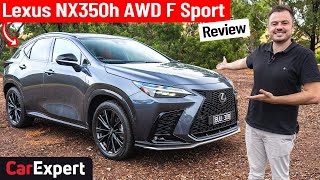 2022 Lexus NX hybrid inc 0100 review Why its more than just a lux RAV4 [upl. by Nylitsirk]