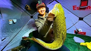 Burbot Fishing amp Winter Camping on Lake Diefenbaker Saskatchewan Canada [upl. by January688]