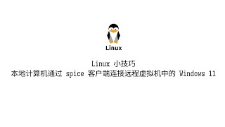 Linux 小技巧——本地计算机通过 Spice 客户端连接远程虚拟机中的 Windows 11 [upl. by Asillem144]