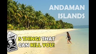 ANDAMAN ISLANDS  5 things that can kill you [upl. by Louisette82]