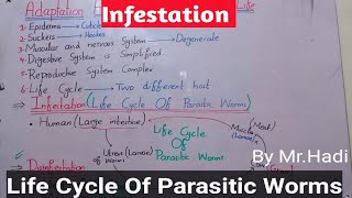 Adaptation For Parasitic Mode Of Life  1st Year Biology  Chapter No 10  Kingdom Animalia [upl. by Niwde]