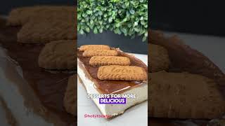 How to Make a MacroFriendly Biscoff Cheesecake  High Protein Dessert Recipe [upl. by Merritt]