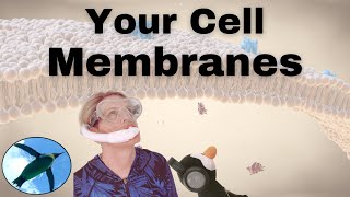 Your CELL MEMBRANES 🐧 [upl. by Traci]