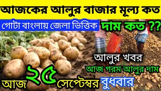 আলুর বর্তমান পরিস্থিতি I Current Situation of Potatoes in Bengal Indian Potato News 230924 [upl. by Derag]