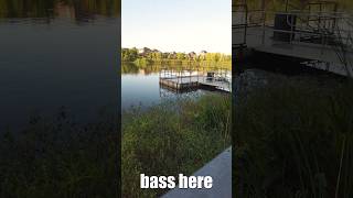 Catching BASS in Euless TX fishing [upl. by Onurb]