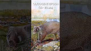 SERIOUSLY What is an EPOCH  Geologic Time Pt 4  Beginners Guide to Palaeontology [upl. by Meras]