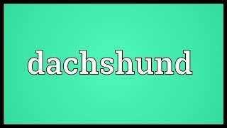 Dachshund Meaning [upl. by Eellek919]