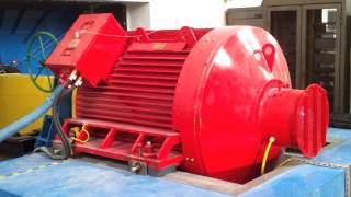 Runup of large 1100kW 500rpm Line Start Permanent Magnet Synchronous Motor [upl. by Farly151]