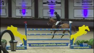 8 YO Sambuca 140m Medium Tour CSI2 Peelbergen 🇳🇱 [upl. by Lyrem]