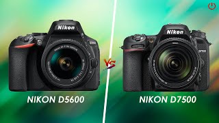 Nikon D5600 vs Nikon D7500  Full Comparison [upl. by Ehpotsirhc856]