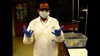 Preparing Isopentyl Acetate by the Fischer Esterification Part1 [upl. by Aharon900]