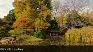 Fall Colors 2023 Botanical Gardens  4K Video 4KTravelVideos dasepalli [upl. by Anomar]