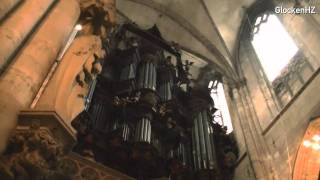 Halberstadt  Dom  Orgelkonzert [upl. by Annaeg]