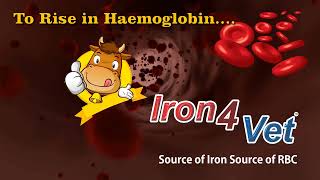 Iron4vet TO RISE IN HAEMOGLOBIN [upl. by Ong]