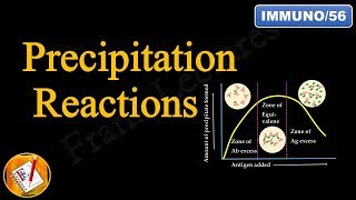 Precipitation Reactions and Precipitation Curve Diagnostic Immunology FLImmuno56 [upl. by Analed]