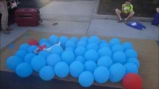 LAwithKidscom meets the Balloon Popping Dog [upl. by Anenahs]