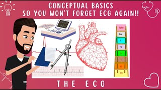 ROUNDUPHearts Electrical Anatomy ECG leads amp Interpretations A 1hour Conceptual Dive [upl. by Gilead857]