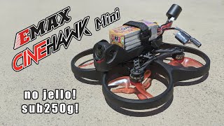 EMAX CINEHAWK Mini 25 inch Cinewhoop Review [upl. by Ranique231]