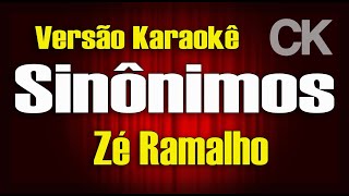 Zé Ramalho Sinônimos Karaokê [upl. by Rosalee467]