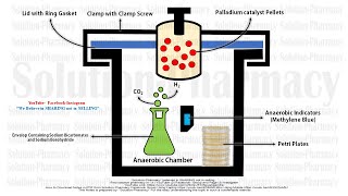 Microbiology 29  Cultivation of Anaerobes  Anaerobic Chamber  Anaerobic Microorganism Culture [upl. by Bonns]