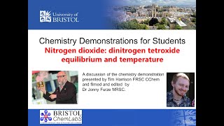 Student Demonstration  Nitrogen Dioxide  Dinitrogen Tetroxide Equilibrium [upl. by Nabe388]