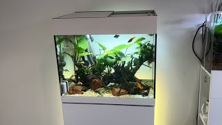 My community Aquarium  Oase styline 85  Equipment and stocking [upl. by Dewey]