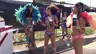 The Best of Trinidad Carnival 2015 part 2 filmed by jonfromqueens [upl. by Ynnaj]