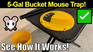 It Really Works Reusable 5Gal Bucket Mouse Trap by GARDENIX DECOR [upl. by Jacquelyn]