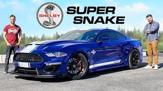 2020 Shelby Super Snake Review  800 Horsepower GT500 Killer [upl. by Aiuqet614]