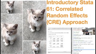 Introductory Stata 61 Correlated Random Effects CRE Approach [upl. by Eejan]