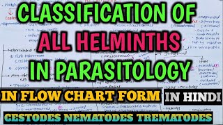 Parasitology  Classification of Helminths in Microbiology  Cestodes  Nematodes  Trematodes [upl. by Aelaza]