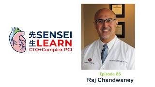 Sensei Podcast Episode 86 Raj Chandwaney [upl. by Sim]