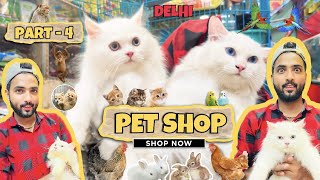 Delhi Cheap Price Cat Market  Part  4  Jafrabad Pet Market Buying Rs  8000  Persian Cat [upl. by Illac]