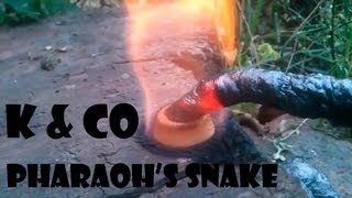 Сульфаниламидная фараонова змея  Sulfanilamide pharaohs snake [upl. by Leahplar]