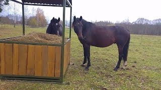 DIY hay feeder for horses [upl. by Tehr]