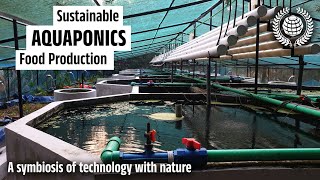 Aquaponics System  Powered by Nature  Zero Waste  Nutrient Recycling  Integrated Fish Farm [upl. by Llen]