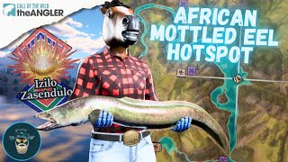 DIAMOND African Mottled Eel HOTSPOT  Call of the Wild The Angler [upl. by Hahsia]