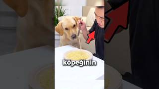 Köpeğine yemek vermeyen adam [upl. by Ventre]