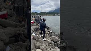 Shad fishing at Bonneville dam 06172023  Fat female shad are here now Its the time to get them [upl. by Ankeny]