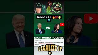 Marijuana Policies ☆♤☆ 🔥💯🌟🌎 highlights law shorts [upl. by Gunar47]