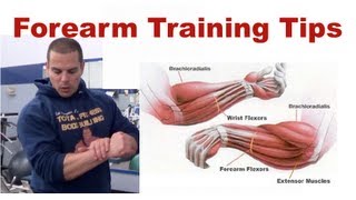 Forearm Training Tips [upl. by Adnovaj]