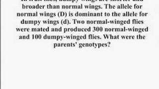 Genetics  Monohybrid Crosses [upl. by Root243]