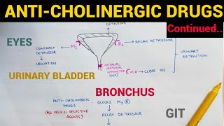 Autonomic Pharmacology  9  AntiCholinergic Drugs Continued  EOMS [upl. by Wanyen]