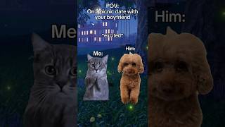 POV On a picnic date with your boyfriend💐❤ catmemes cat catlover [upl. by Tanya]